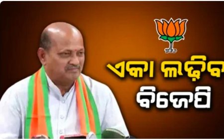 ଆମେ ଏକା ଲଢିବୁ ଆଉ ଆମେ ଜିତିବୁ, ମେଣ୍ଟ ହେବନି - ମନମୋହନ ସାମଲ