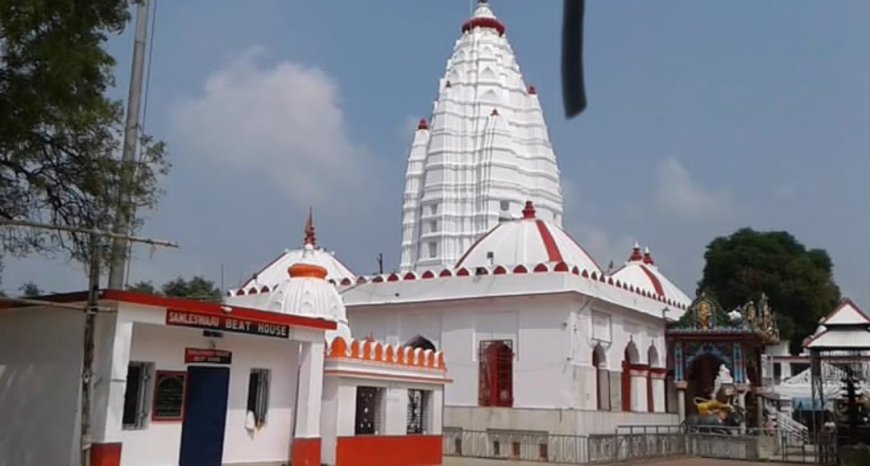 ସମଲେଇଙ୍କ ପାଇଁ ଏଣିକି ଓମ୍‌ଫେଡ୍‌ ଘିଅ